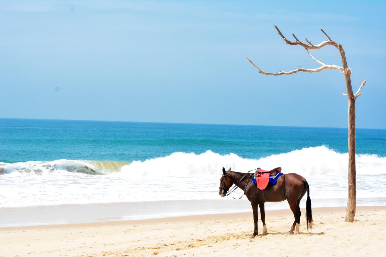 Atican Beach Otel Lagos Dış mekan fotoğraf
